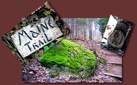 Local Maine trails and hiking - some of New England's finest